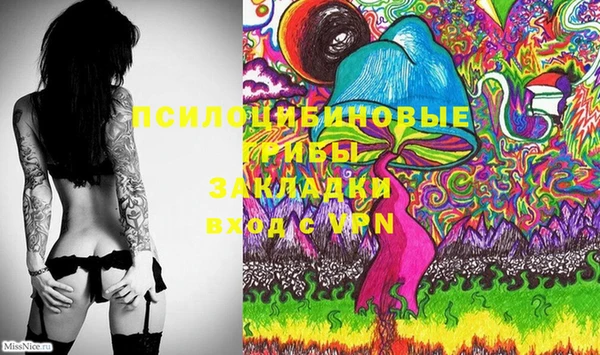 прущие грибы Абдулино