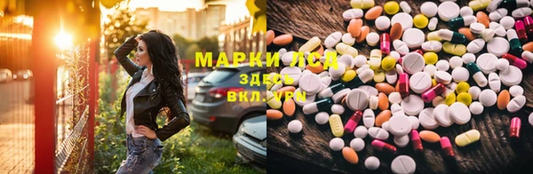 прущие грибы Абдулино