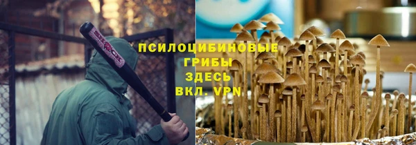 амф Абаза