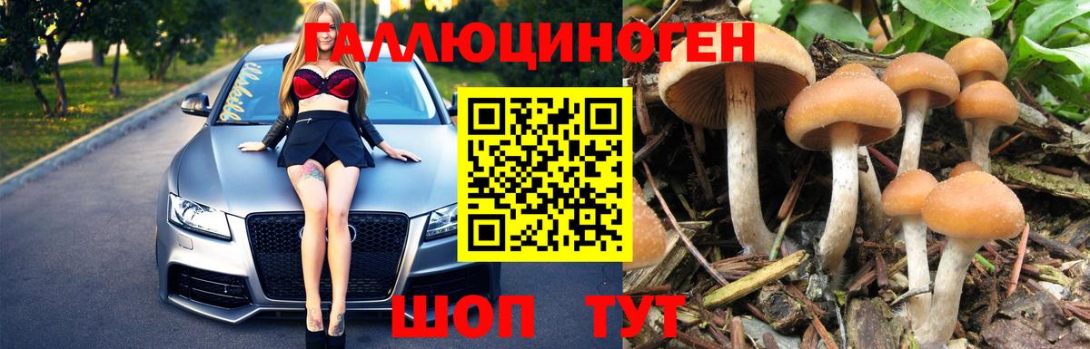 Шумерля  Галлюциногенные грибы Psilocybine cubensis  Вход с VPN 